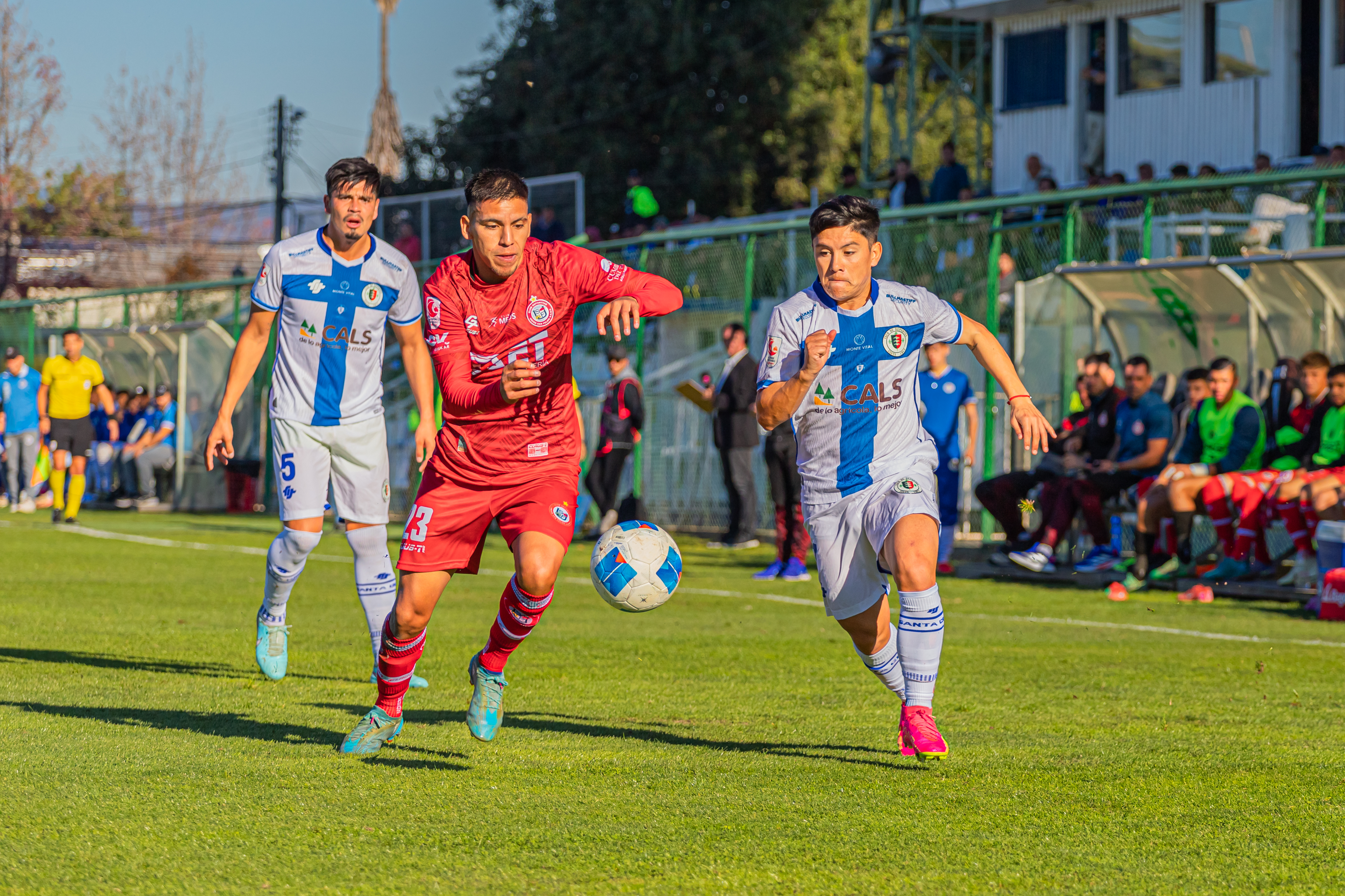 Lo mejor de la decimotercera jornada de Primera y la duodécima jornada de Ascenso